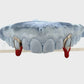 Custom Halloween Open Face Window Vampire Fang Grillz (with Blood Enamel)